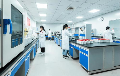 白酒科技如何賦能微生物 從茅臺(tái)鎮(zhèn)國(guó)臺(tái)酒的現(xiàn)代化實(shí)踐看生物技術(shù)服務(wù)新路徑