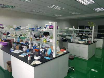 引領(lǐng)生物技術(shù)創(chuàng)新，賦能科研與產(chǎn)業(yè)——北京基譜生物科技官網(wǎng)生物技術(shù)開發(fā)服務(wù)介紹